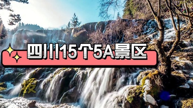 白条加油额度怎么提？真相解析