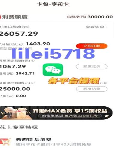 羊小咩600能变现？