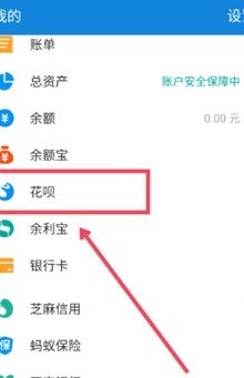 有什么套花呗的软件吗