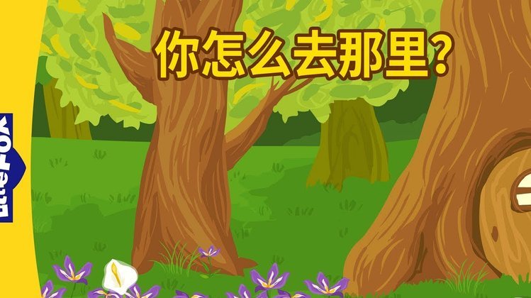 兰花分株：技巧与注意事项