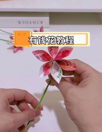 花套拆解：专业技巧，焕发真容