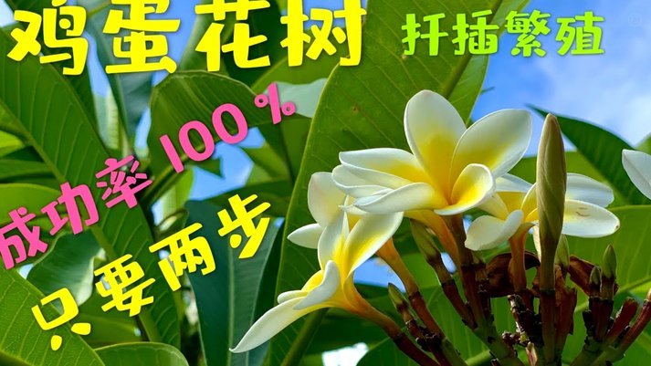 携程“拿去花”可取吗？详解分期还款规则