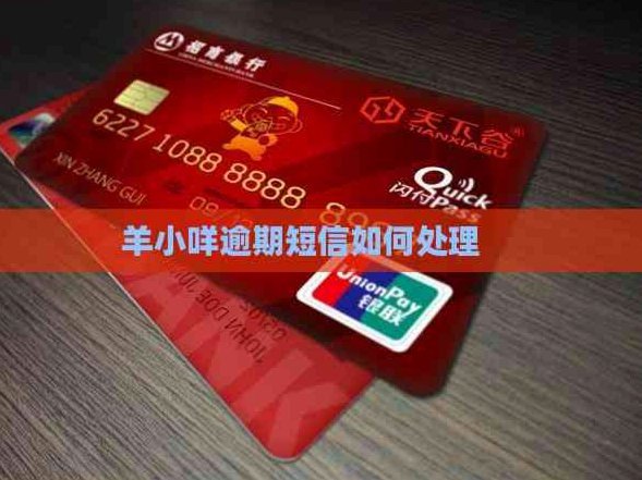 羊小咩借款：警惕陷阱与风险