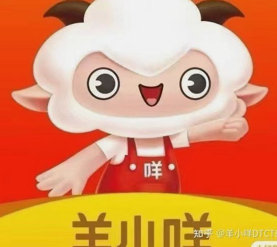 羊小咩卡包变现策略全解析
