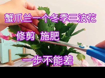 携程“拿去花”提现全攻略