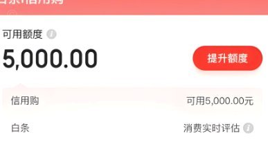 京东临时额度：如何玩转你的信用“天窗”