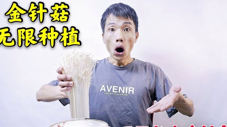 白条额度能取现吗？