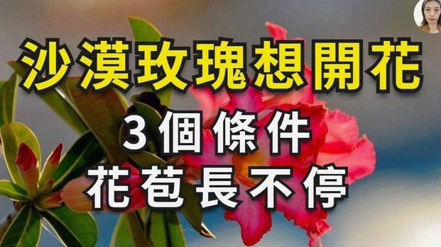 花呗套了500严重么