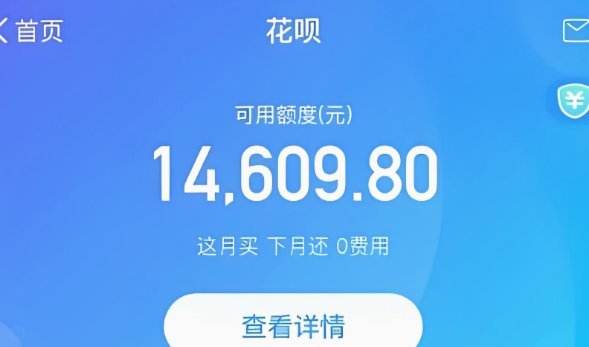 花呗风控揭秘：应对虚拟卡的新挑战