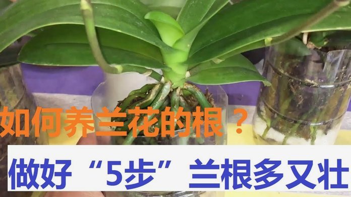 携程拿去花怎么用