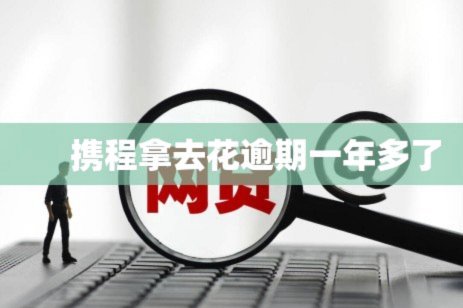 携程拿去花套出问题了