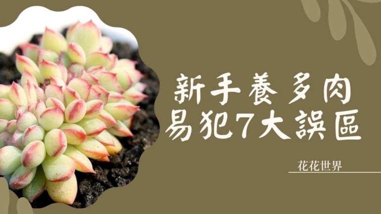 秒花花贷款真的安全吗？权威解读合法性与风险点