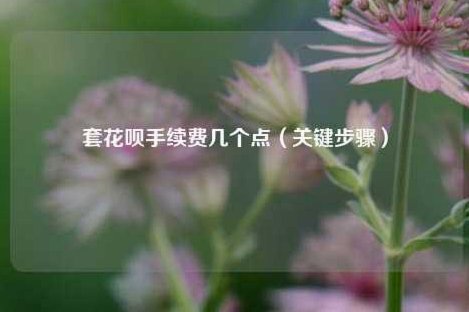 花呗套现：手续费不止一点点