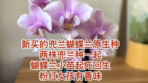携程“拿去花”全额还款攻略：避坑指南与步骤详解