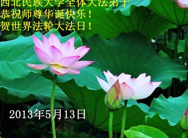 花呗套现的风险与后果