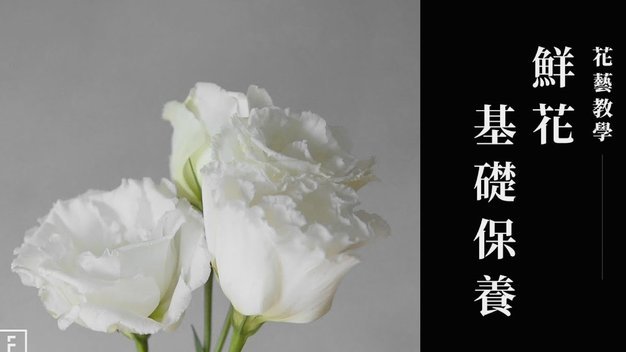 套现花呗合法吗 出现问题