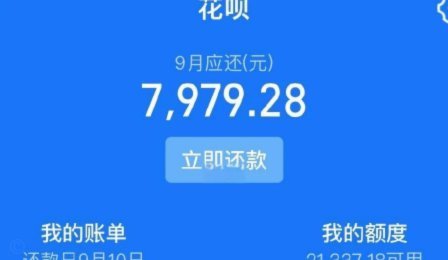 京东白条商家秒到