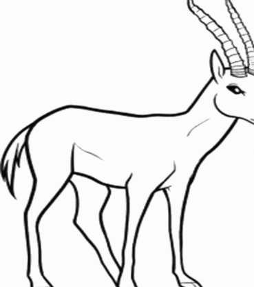 分期乐139元怎么取消