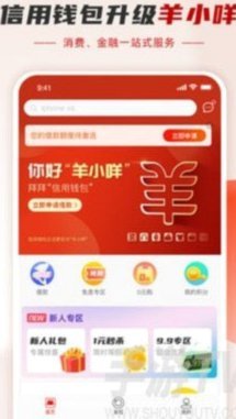 羊小咩个性取现额度政策解析