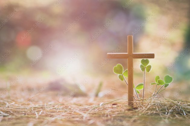 微信分付新套路揭秘