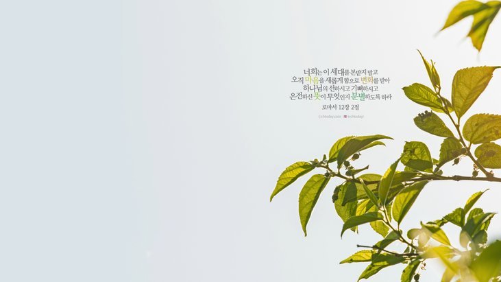 微信分付套出来的最新方法有哪些
