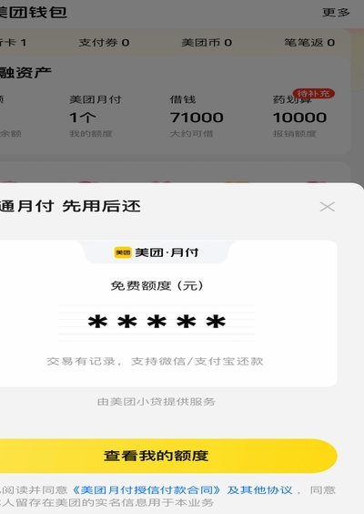 美团月付取现300不见了