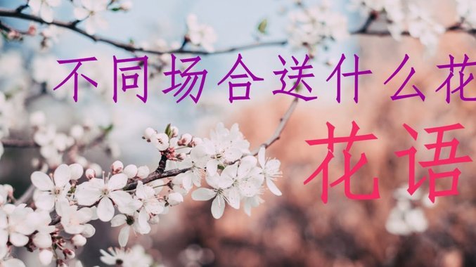 花呗给别人套现有影响吗