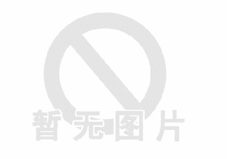 白条怎么套出来钱