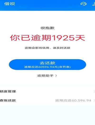 花呗：现状、挑战与未来之路