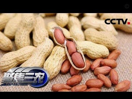 花呗套现风险：封号还是降级？