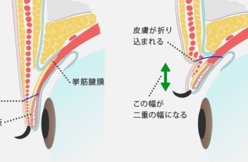 花呗“码”背后的困境