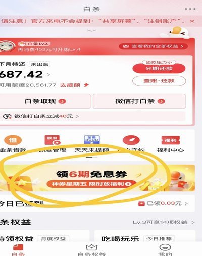 白条不可以交话费吗