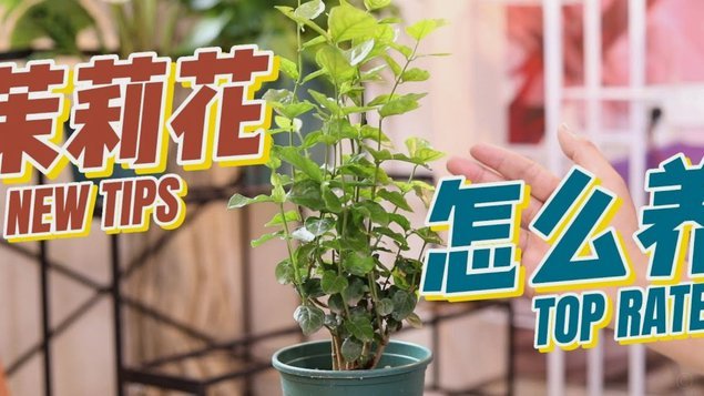 怎么套花呗里面的钱