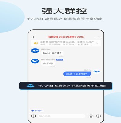 如何评价海鸥网贷平台：优劣势全解析