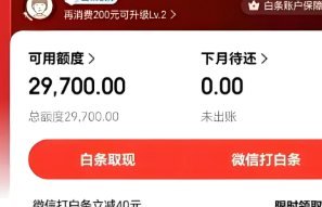 白条额度如何合法转换为现金