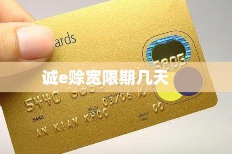 诚e赊：解锁额度之道