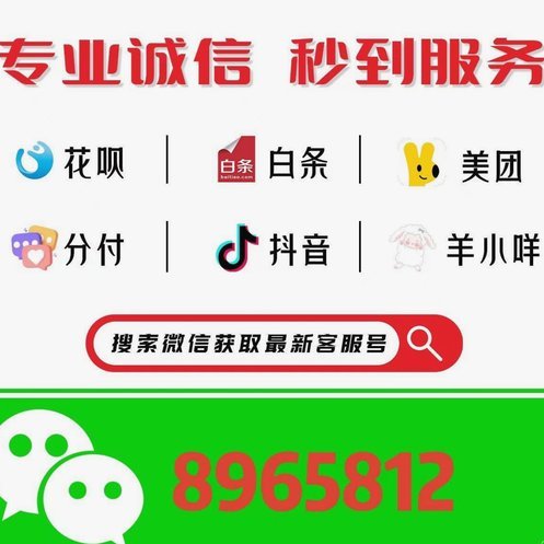 羊小咩额度怎么合理运用
